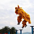 摇卦免费（文化中国行）壮乡狮舞闯南洋：脚踏“云桩” 饮誉海内外